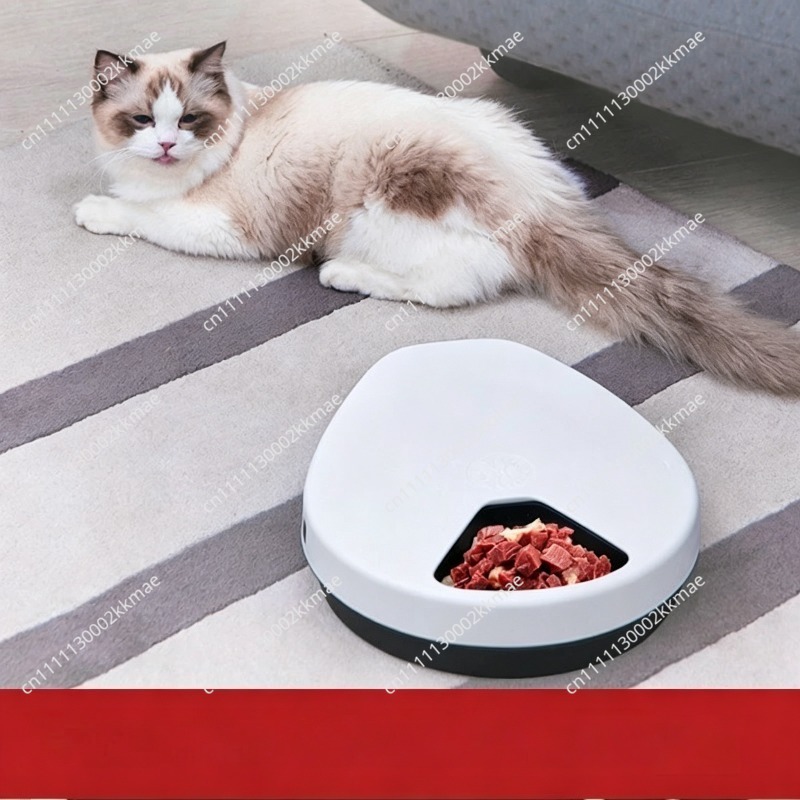 Wet Food Automatic Pet Feeder Refrigerated - Lodówka dla zwierząt, automatyczny podajnik na