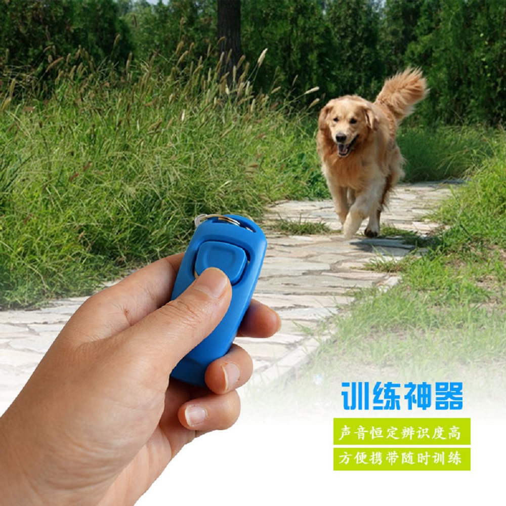 Dog Clicker Training With Wrist Strap - 2 w 1: Klikker do tresury