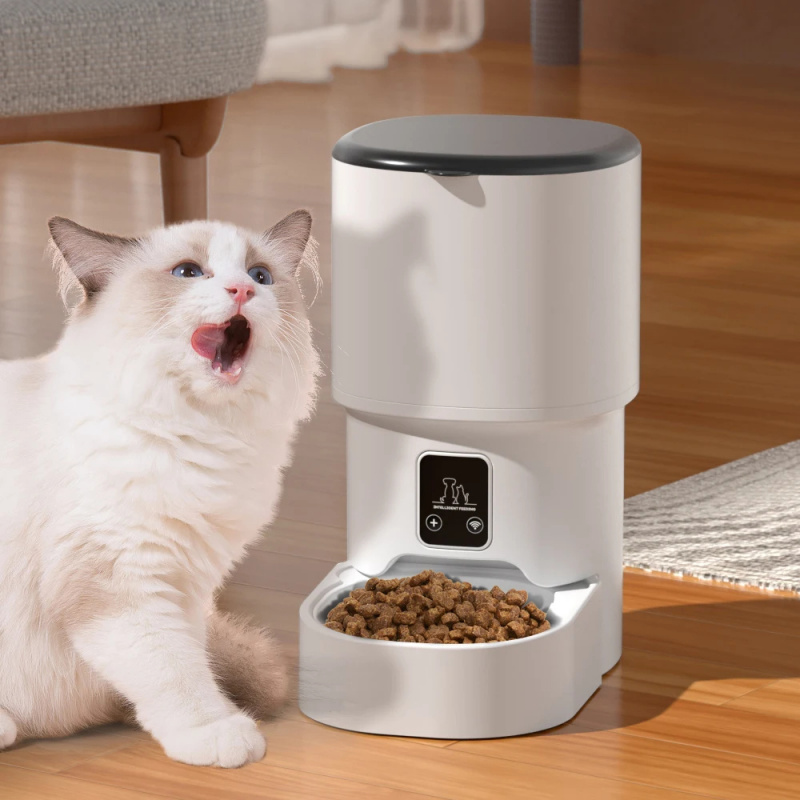 Automatyczny podajnik karmy dl – Timed Cat Dog Food Dispenser 4L recenzja i cena