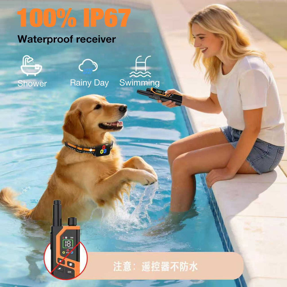 1000M – obroża do treningu psó – Dog Training Collar Remote 1000M Beep recenzja i cena
