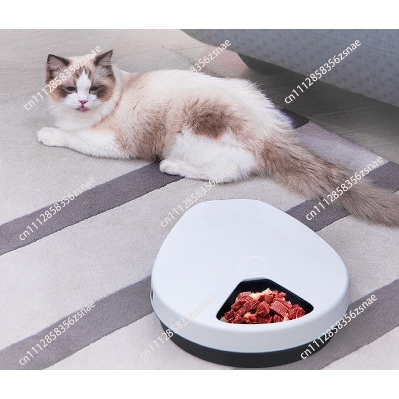 Automatyczny podajnik na mokrą – Wet Food Automatic Pet Feeder Refrigerated recenzja i cena