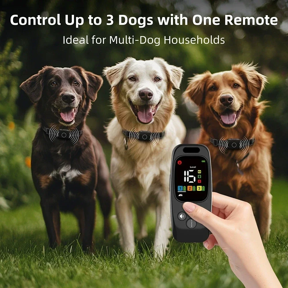 Akumulatorowa obroża do trenin – Dog Training Collar Remote 1000M Beep recenzja i cena