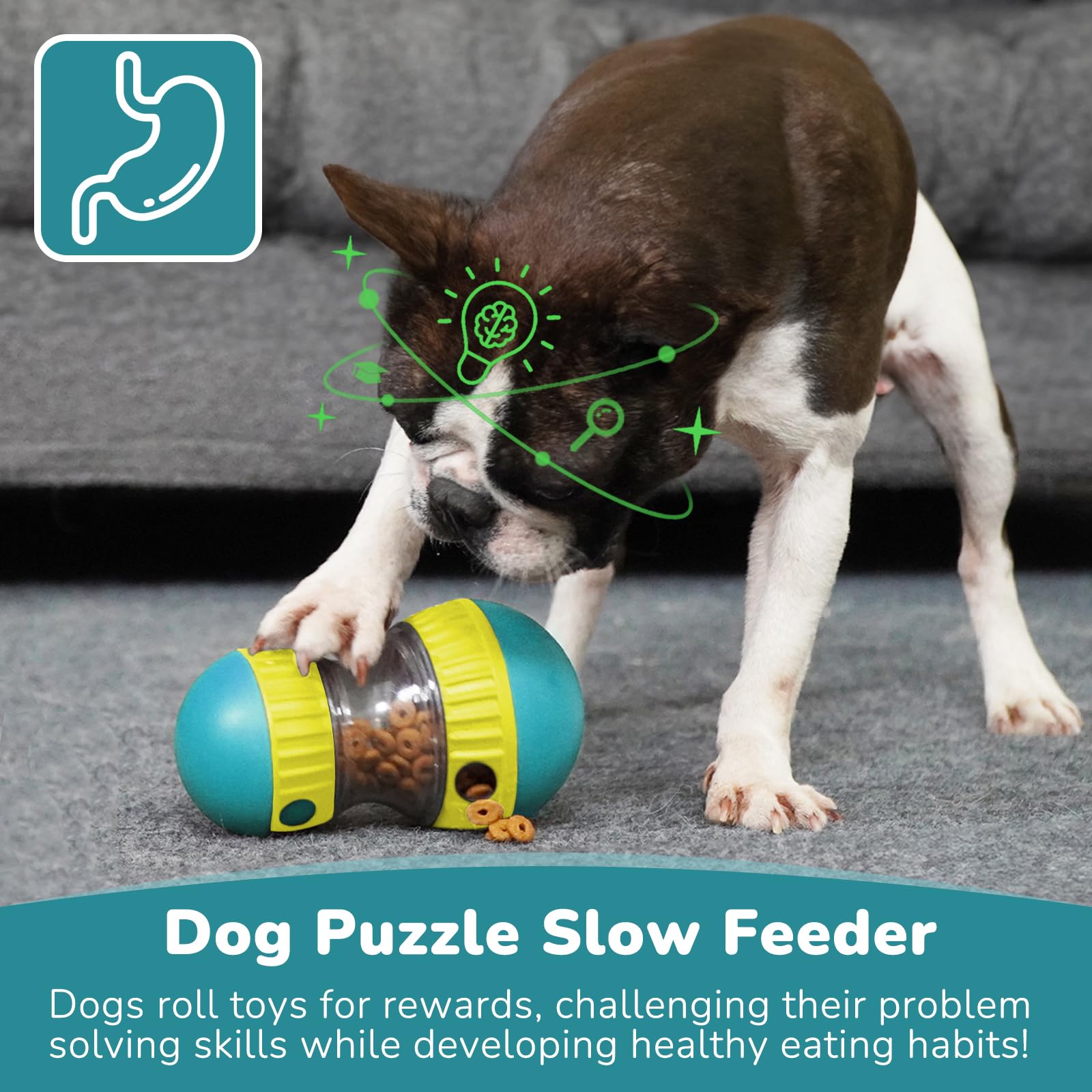 Zabawki dla psów i regulowany  – Dog Slow Feeder Puzzle Toy Interactive recenzja i cena