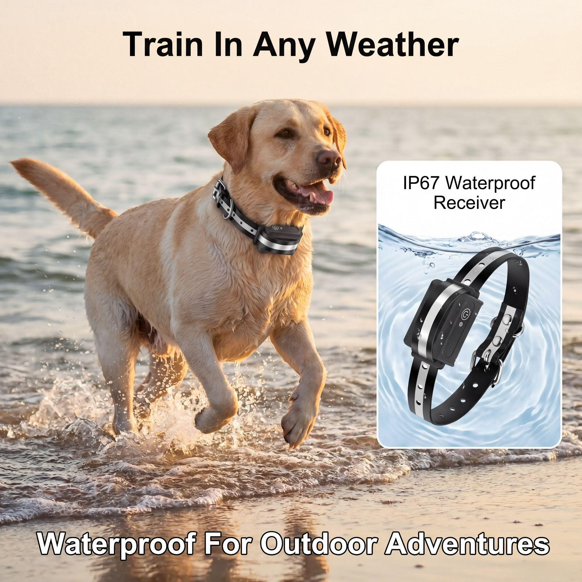 Obroża treningowa dla psów 100 – Dog Training Collar Remote 1000M Beep recenzja i cena