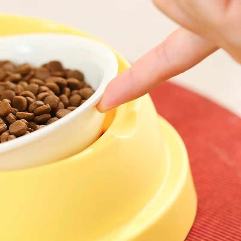 Podwójna miska dla psa i kota  – Automatic Pet Feeder Dual Bowl Stainless recenzja i cena