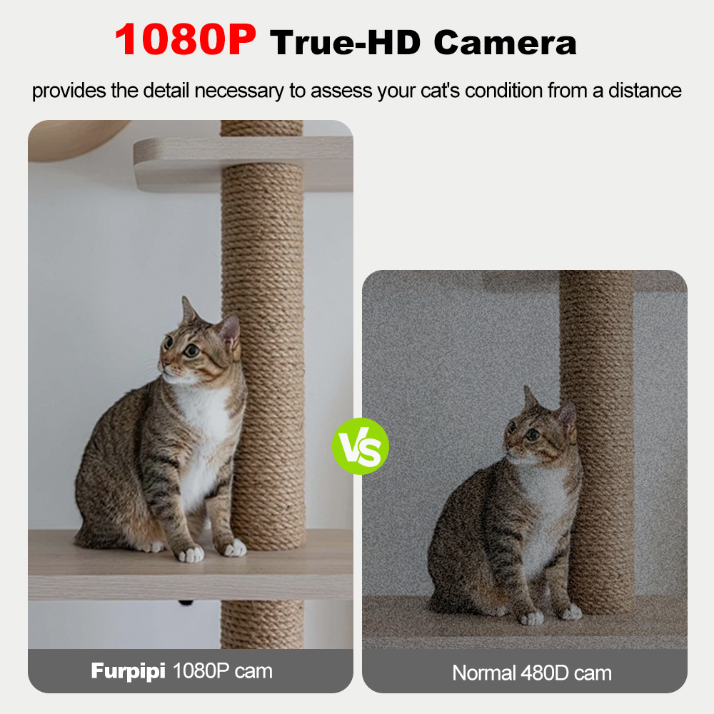 Automatyczny podajnik karmy dl – Smart Pet Feeder Camera 1080P Wifi recenzja i cena