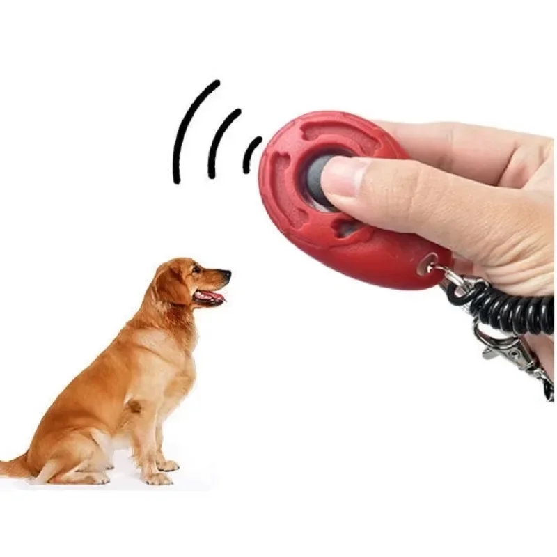 Kliker do treningu psów, regul – Dog Clicker Training With Wrist Strap recenzja i cena