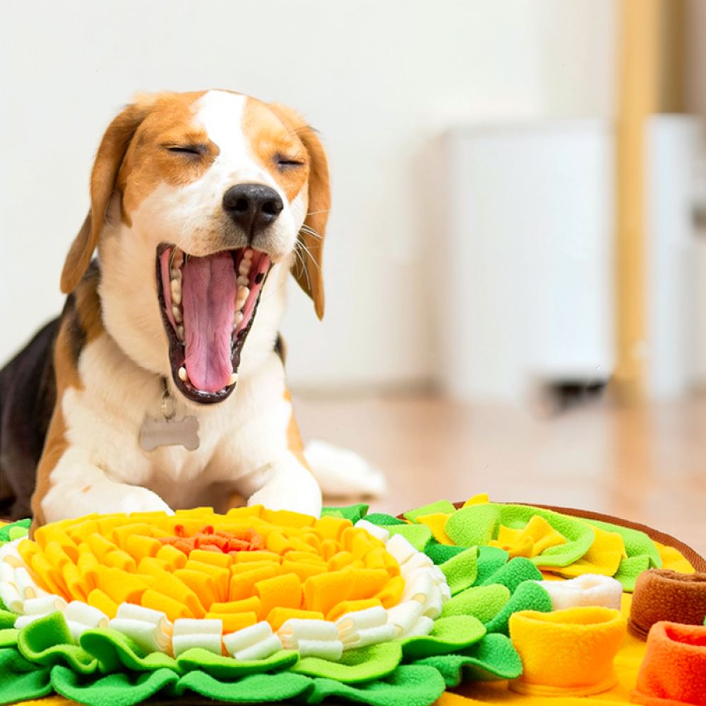 Koc do zapachania dla zwierząt – Dog Slow Feeder Puzzle Toy Interactive recenzja i cena