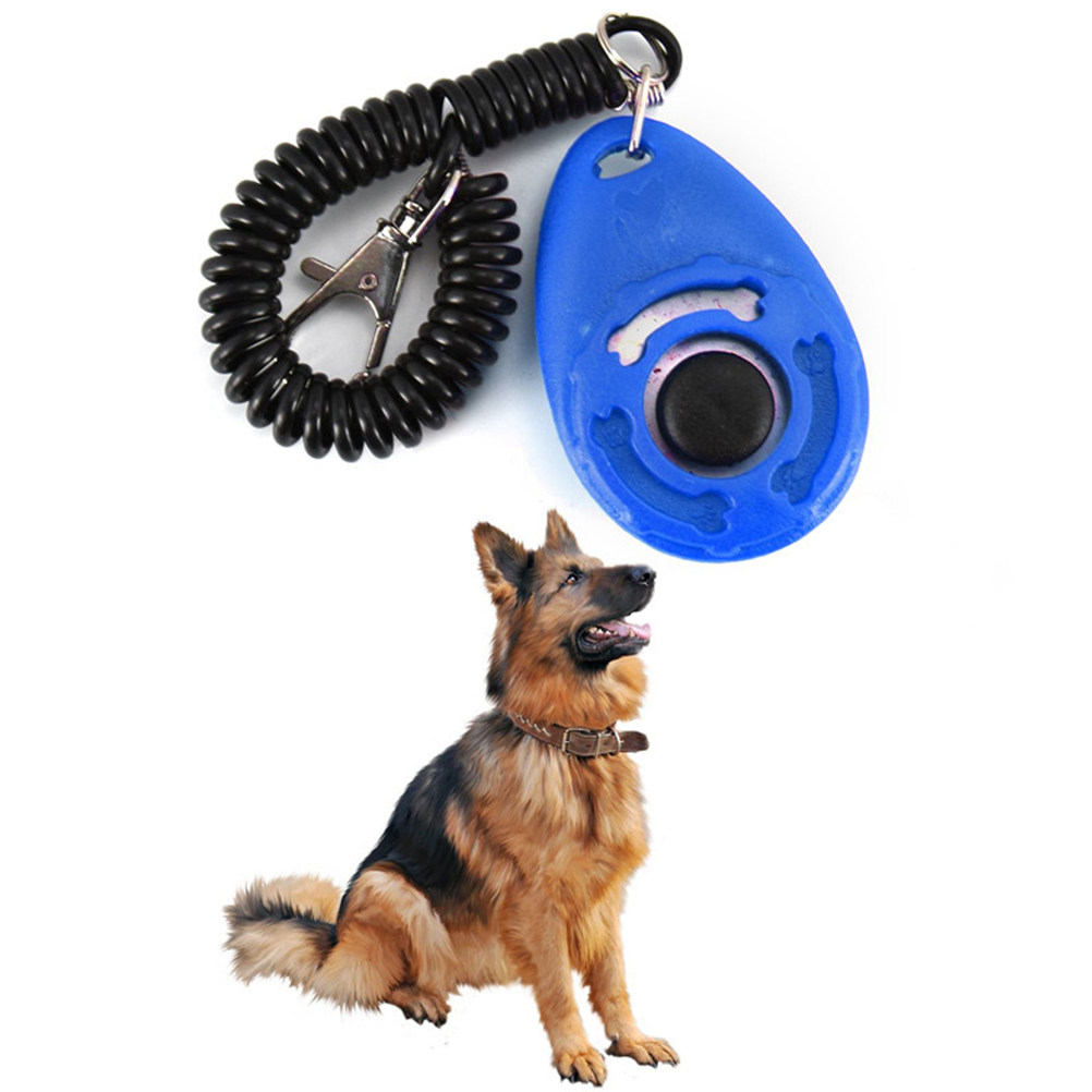 4 sztuki – duże przyciskowe kl – Dog Clicker Training With Wrist Strap recenzja i cena
