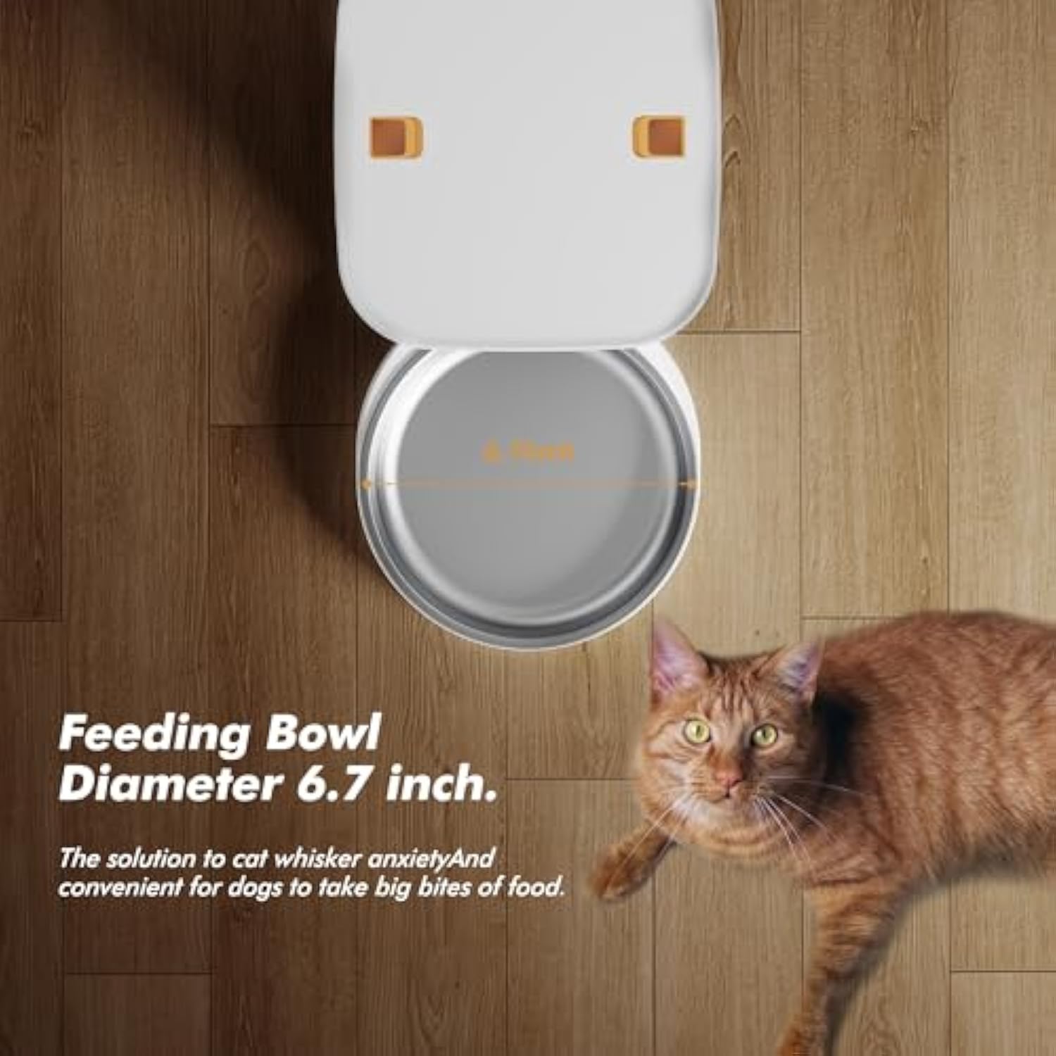 Automatyczny podajnik karmy dl – Smart Pet Feeder Camera 1080P Wifi recenzja i cena