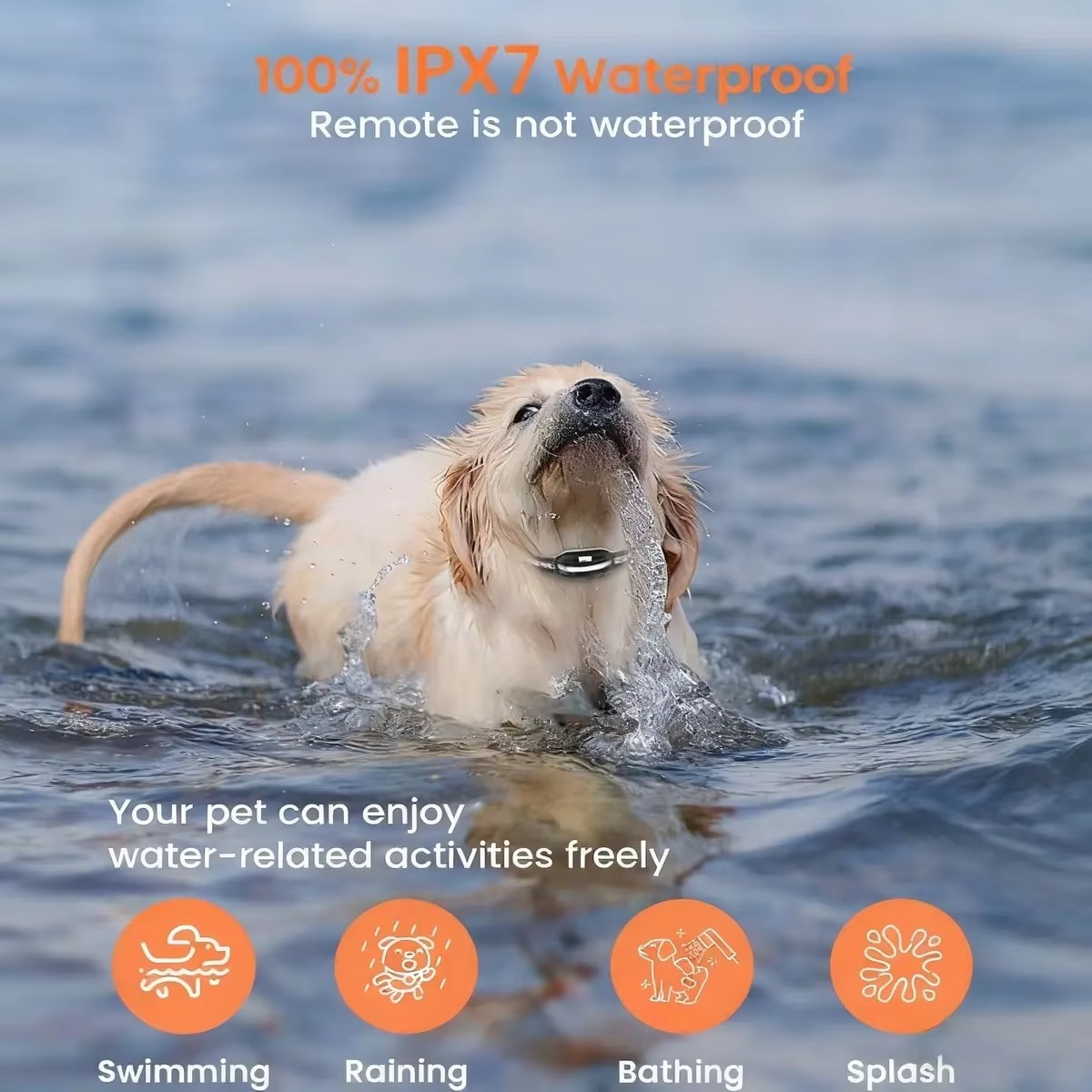 Obroża treningowa FurStarDog z – Dog Training Collar Remote 1000M Beep recenzja i cena